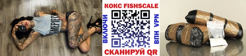 Cocaine Fish Scale  Купить закладки  Михайловка 