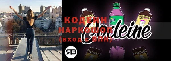 гашик Алексин