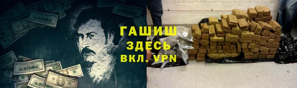 стаф Алзамай