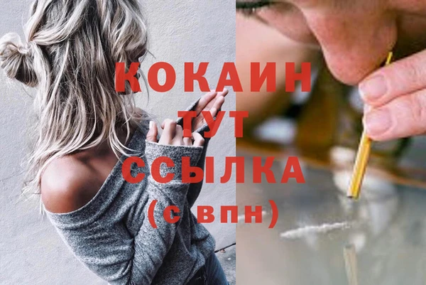 гашик Алексин
