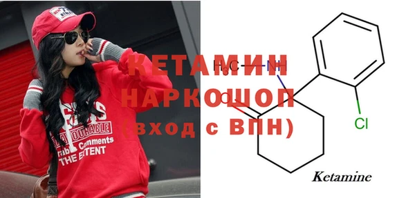 гашик Алексин