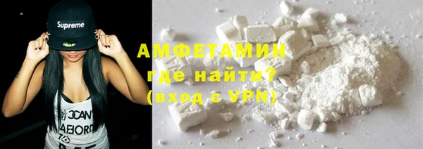 гашик Алексин