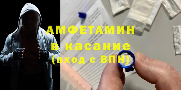 гашик Алексин