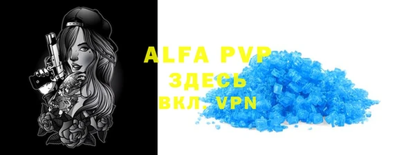 стаф Алзамай