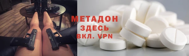 стаф Алзамай