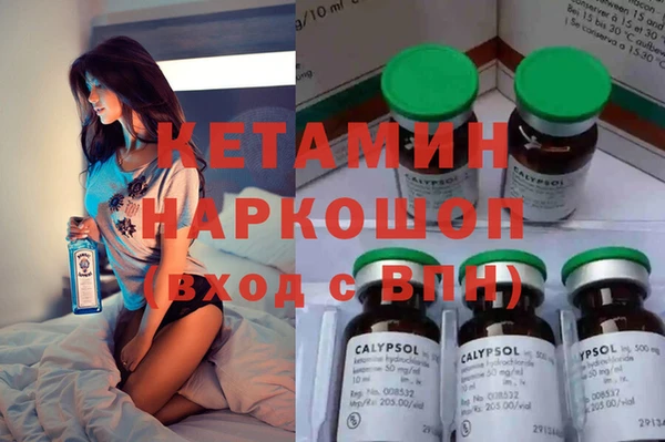 гашик Алексин