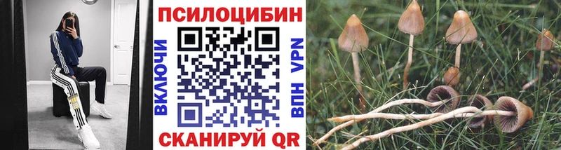 Галлюциногенные грибы Psilocybine cubensis  Купить закладки  Михайловка 